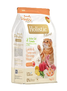 10 อาหารแมว Holistic ยี่ห้อไหนดี ปี 2026 เกรดพรีเมียม 3