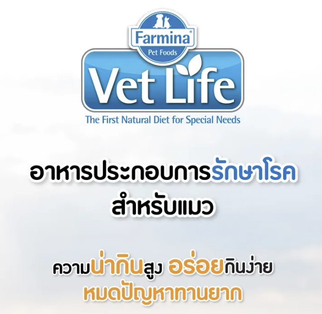 Vet Life Renal For Cat  3