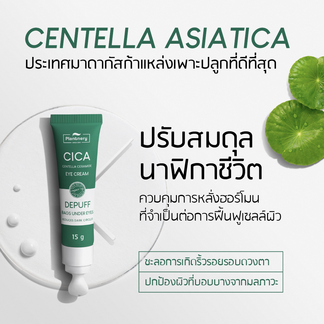 Cica Centella Ceramide Eye Cream 2