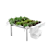 Fresh Garden Hydroponics ชุดปลูกผักไฮโดรโปนิกส์ 30 ต้น 1