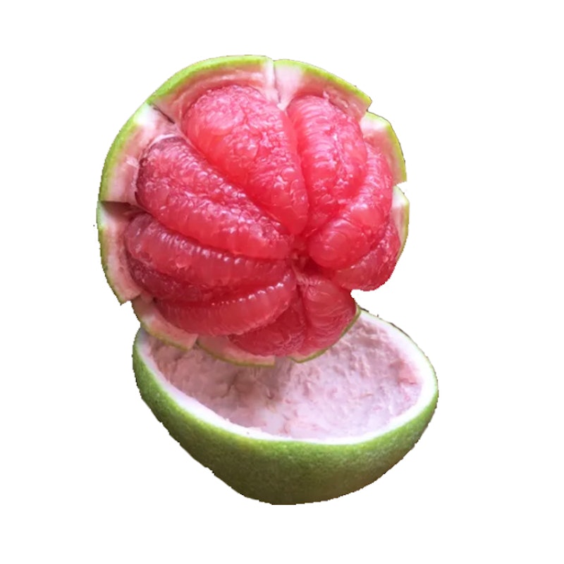 อาหารแก้ร้อนใน ส้มโอทับทิมสยาม 1