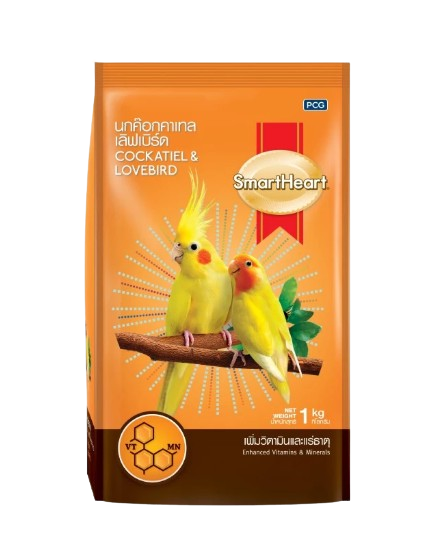Cockatiel & Lovebird 1