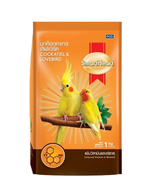 Cockatiel & Lovebird 1