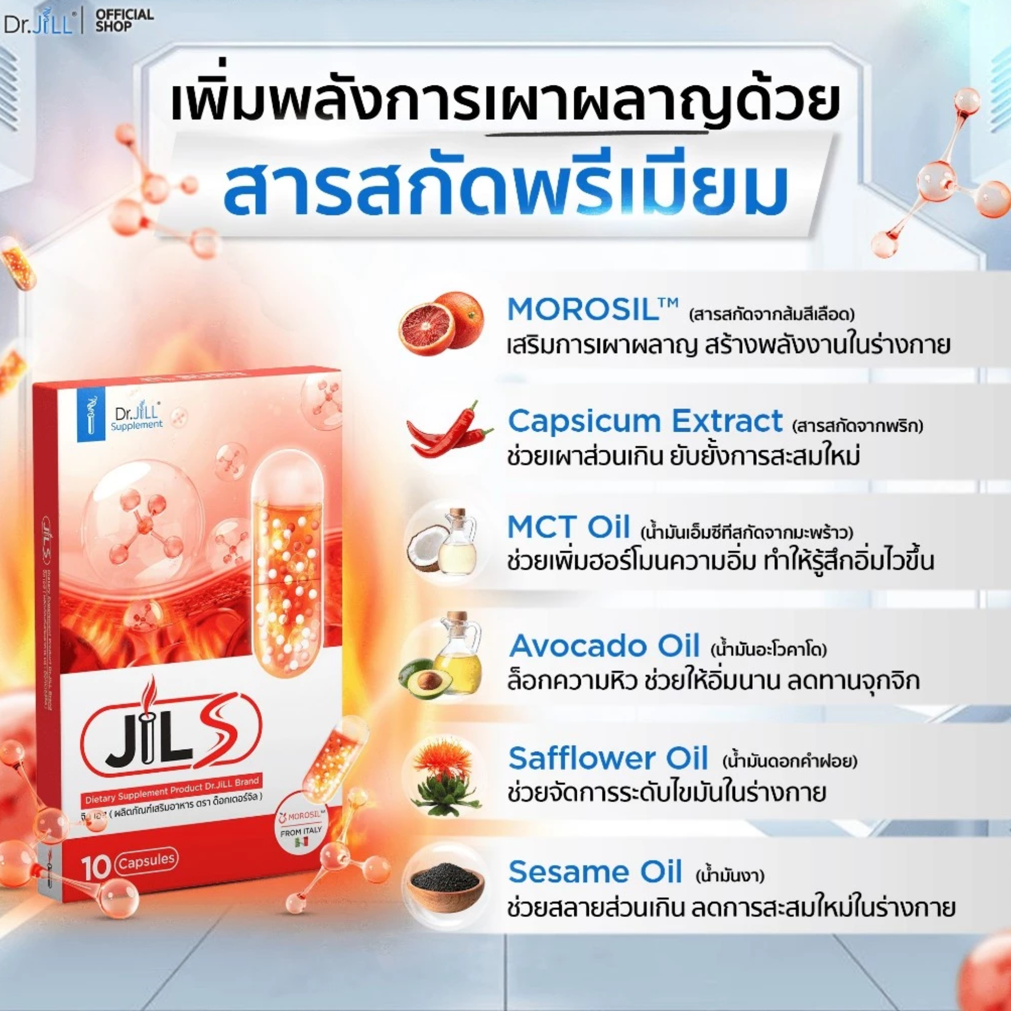 JILS 2