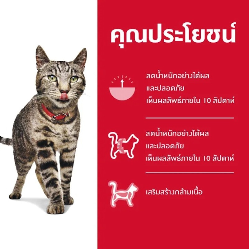 อาหารแมว Diet Perfect Weight 3