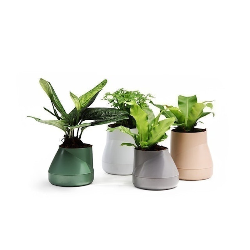กระถางต้นไม้ Hill Pot – Self-watering Plant Pot 1