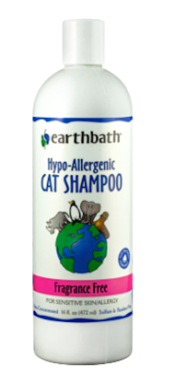Hypo Cat 1