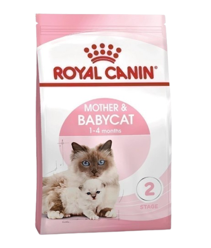 Starter Mother & Baby Cat 1