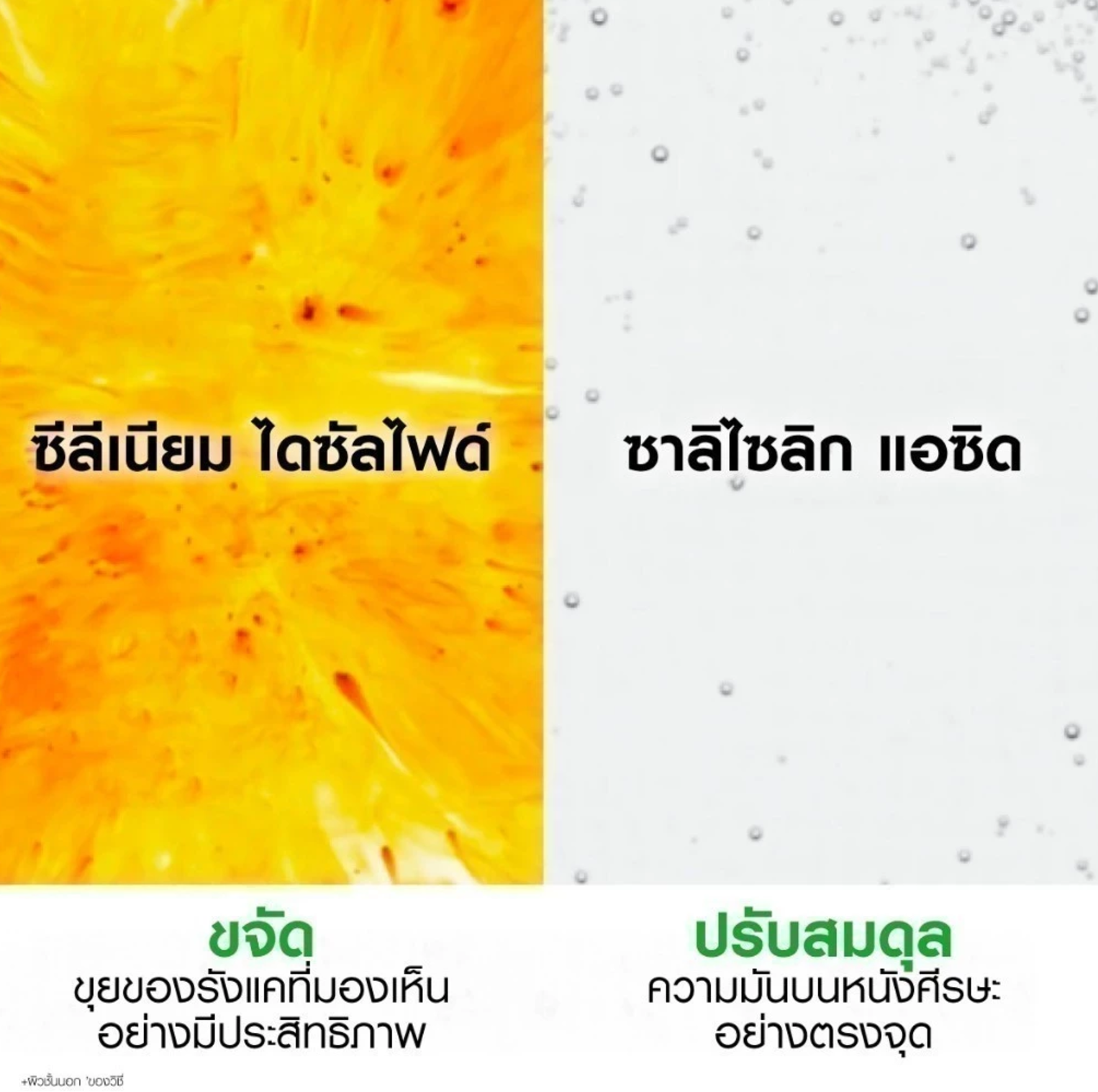 แชมพูขจัดรังแค Dercos Anti-Dandruff Shampoo   3