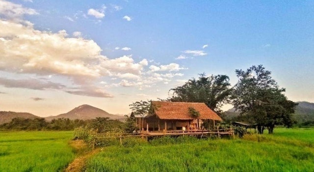 ที่พักเชียงดาว วันใหม่ฟาร์มสเตย์ เมืองคอง 1