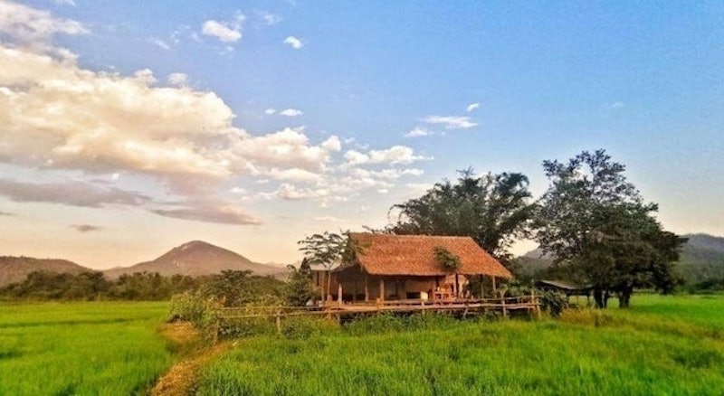 ที่พักเชียงดาว วันใหม่ฟาร์มสเตย์ เมืองคอง 1