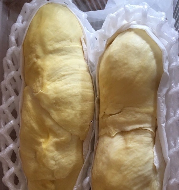 ของฝากศรีสะเกษ ทุเรียนภูเขาไฟเกรด A 2