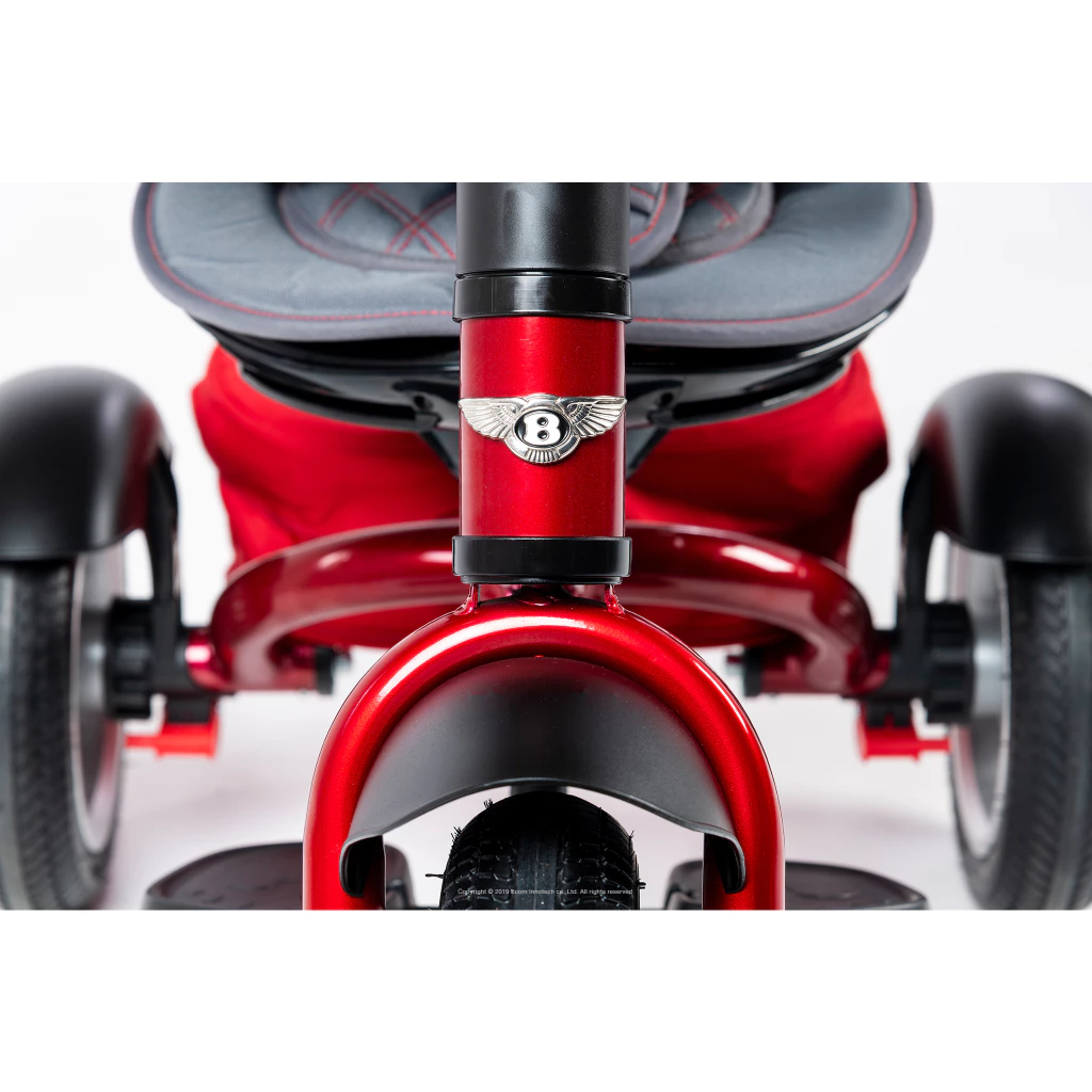 Tri Cycle 6 in 1 Stroller Trike 3