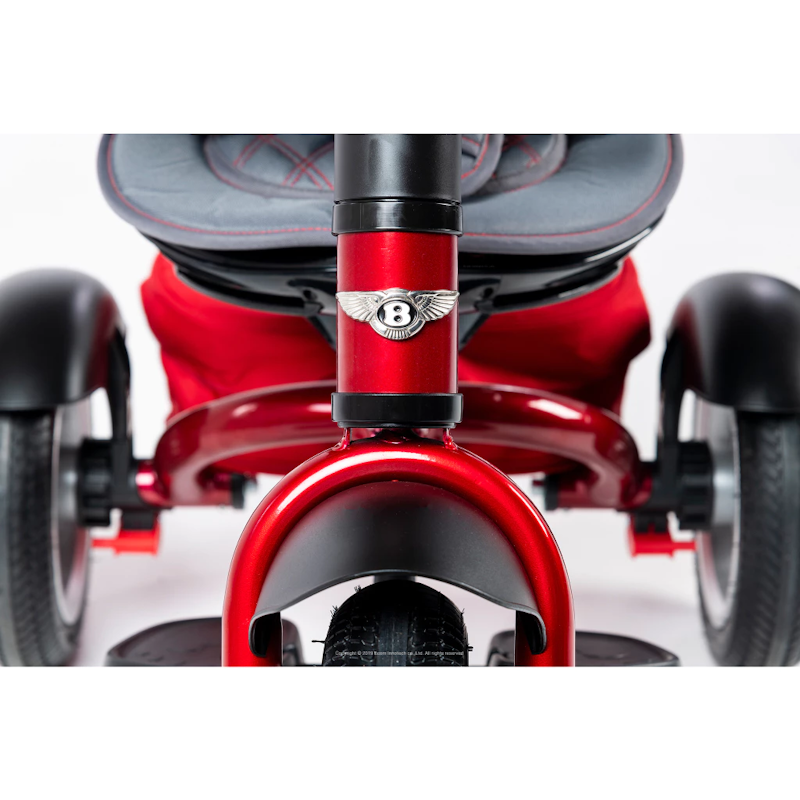 Tri Cycle 6 in 1 Stroller Trike 3