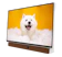SKYWORTH ทีวีดิจิตอล Google TV 1