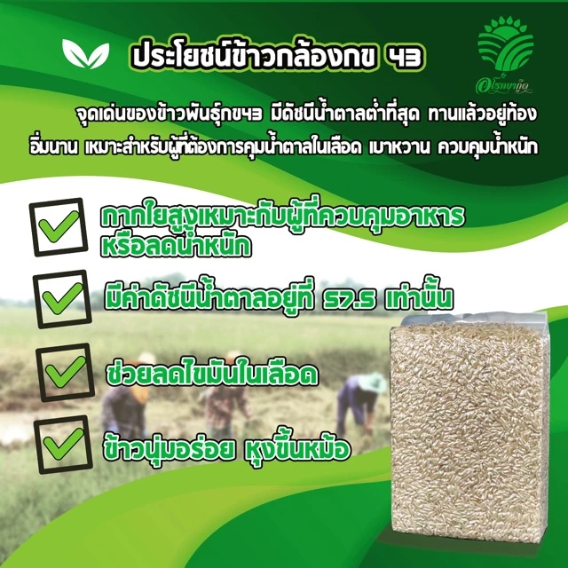 ข้าวกล้อง กข 43 3