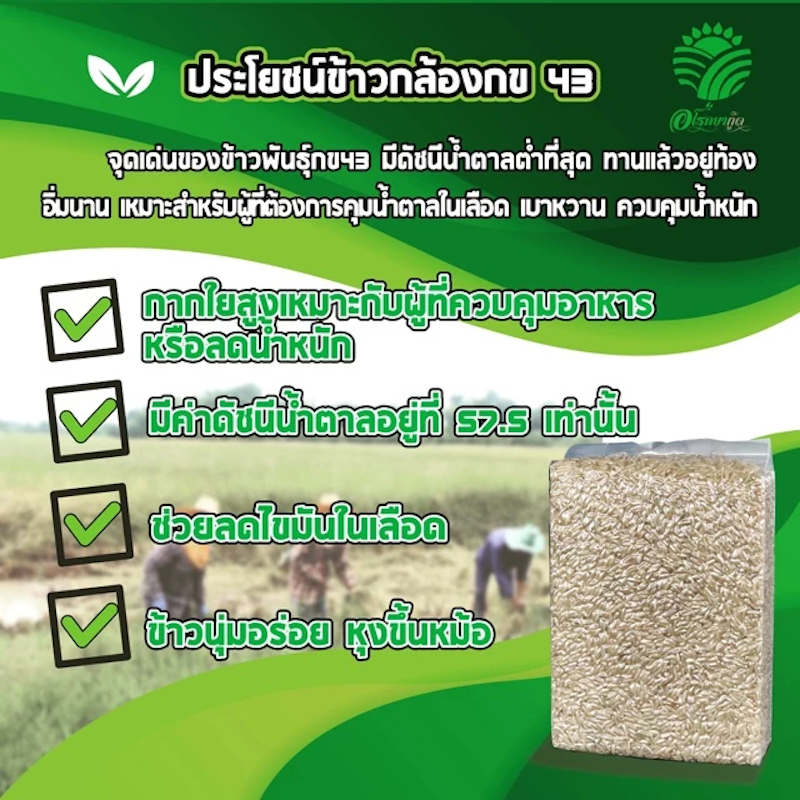 ข้าวกล้อง กข 43 3