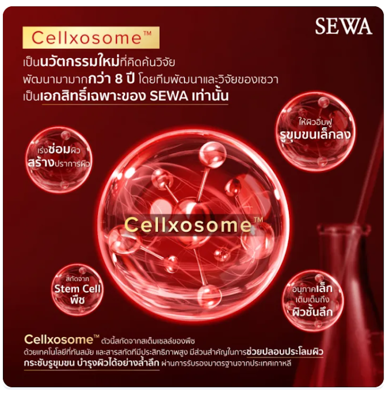 Insam Essence Cellxosome 2