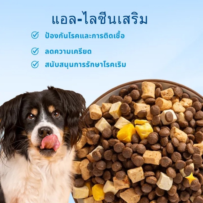อาหารสุนัข Holistic Premium Dogfood D1 3