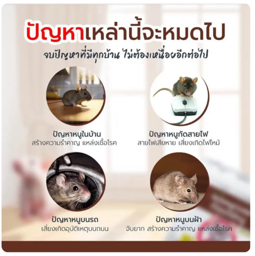 สเปรย์สมุนไพรไล่หนู 3