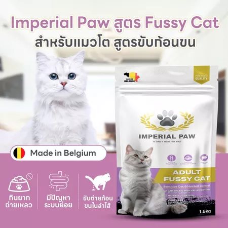 Adult Fussy Cat 2