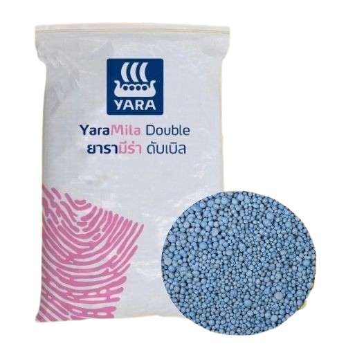 ปุ๋ยเคมีเม็ดสูตร 8-24-24 Yara Mila Double  2