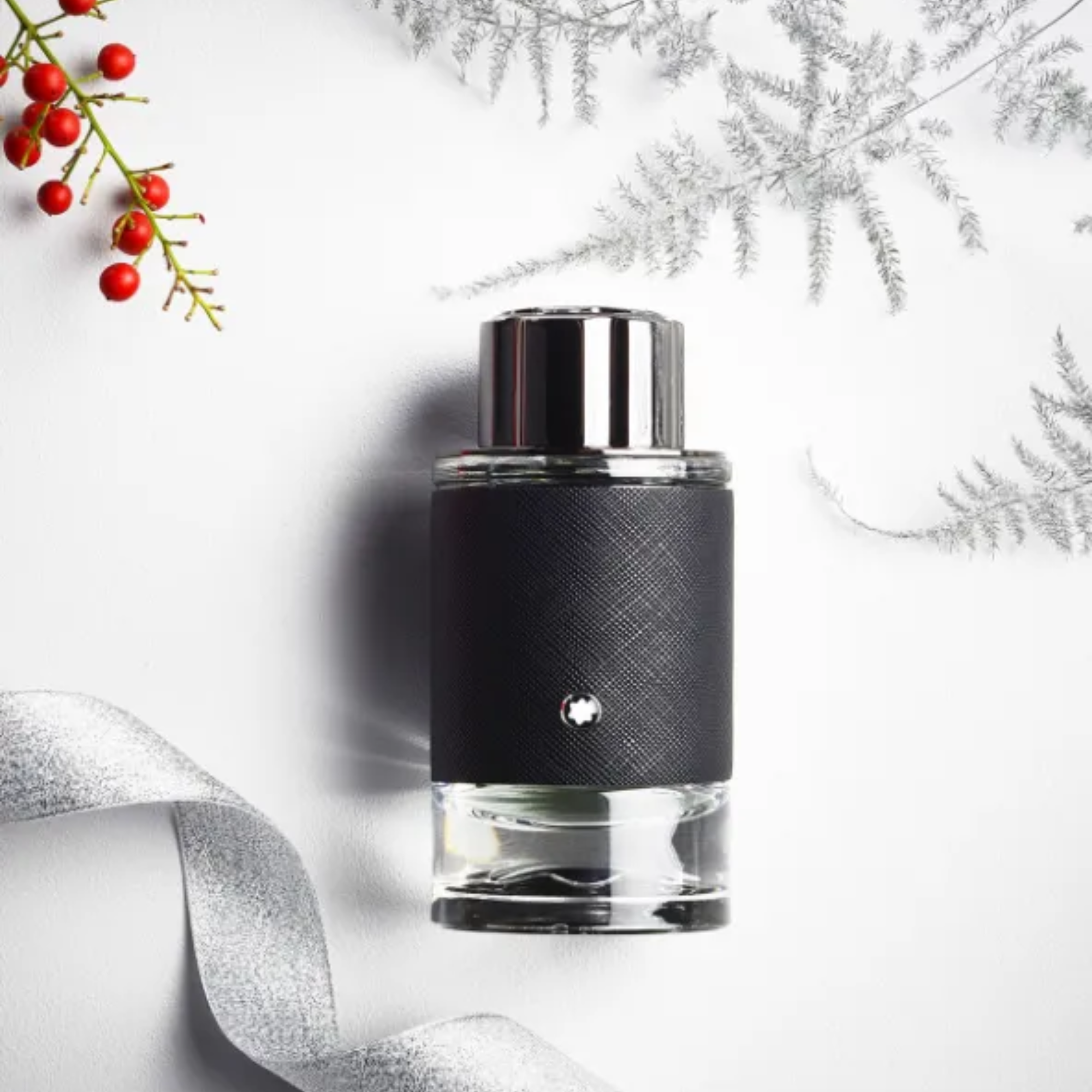 Explorer EDP 2
