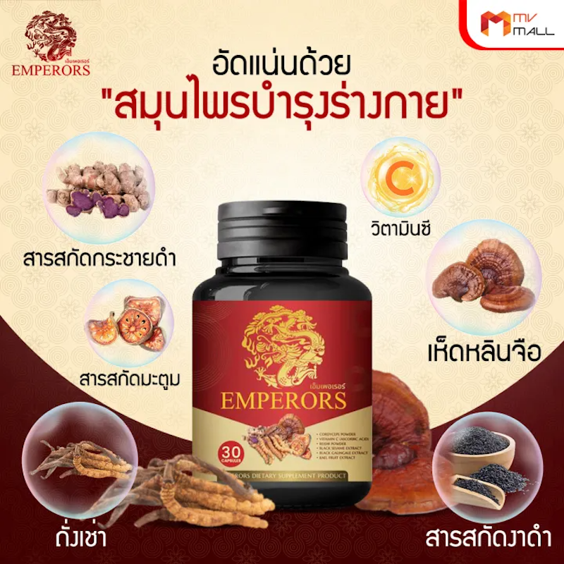 ถั่งเช่าสกัดผสมเห็ดหลินจือ 2