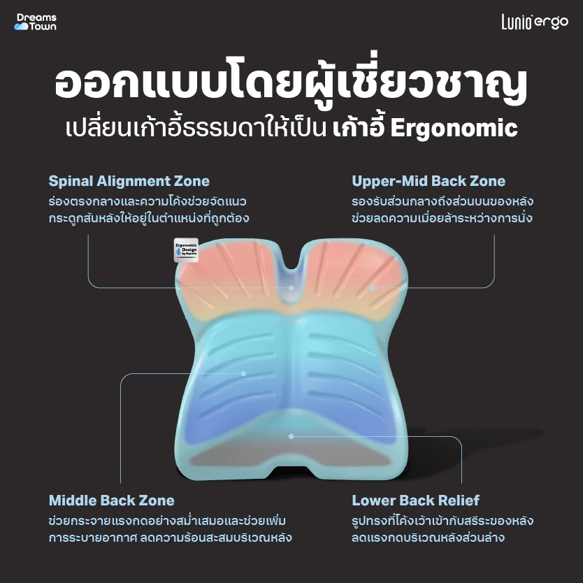 เบาะรองหลัง รุ่น Pro Back Cushion 3