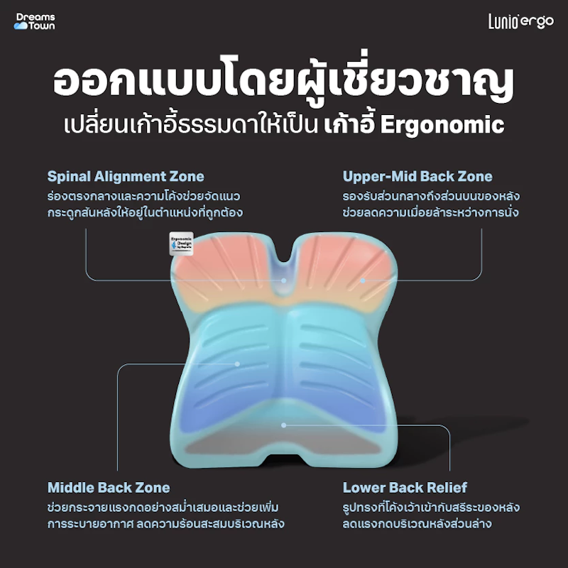 เบาะรองหลัง รุ่น Pro Back Cushion 3