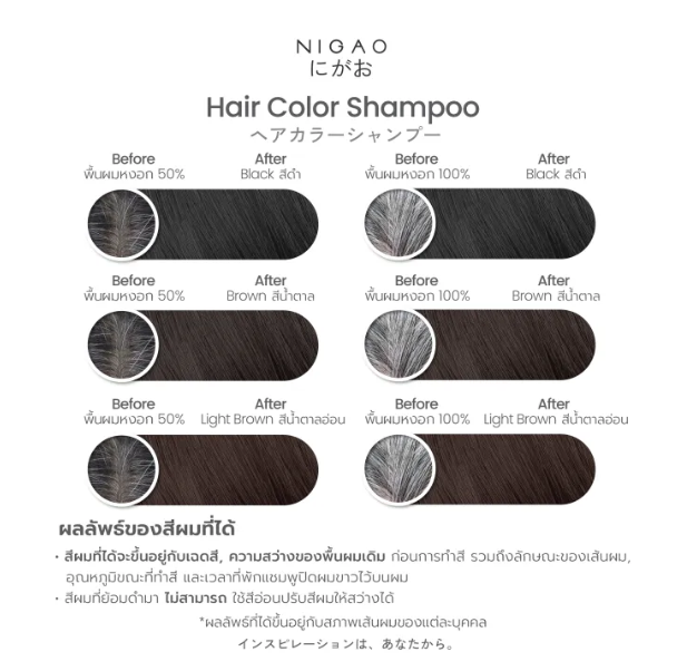แชมพูปิดผมขาว Hair Color Shampoo 2