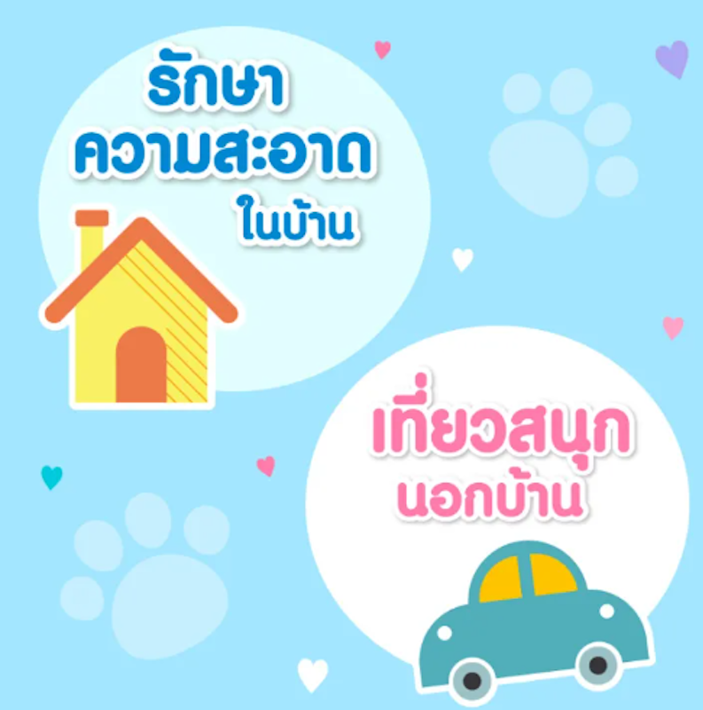 Mannerwear ผ้าอ้อมสุนัข 3