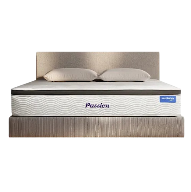 ที่นอนพ็อกเก็ตสปริง รุ่น Passion 1