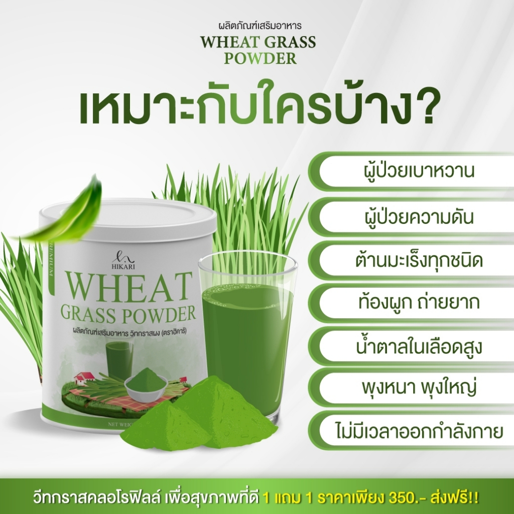 ผงต้นอ่อนข้าวสาลี Wheat grass Powder 3