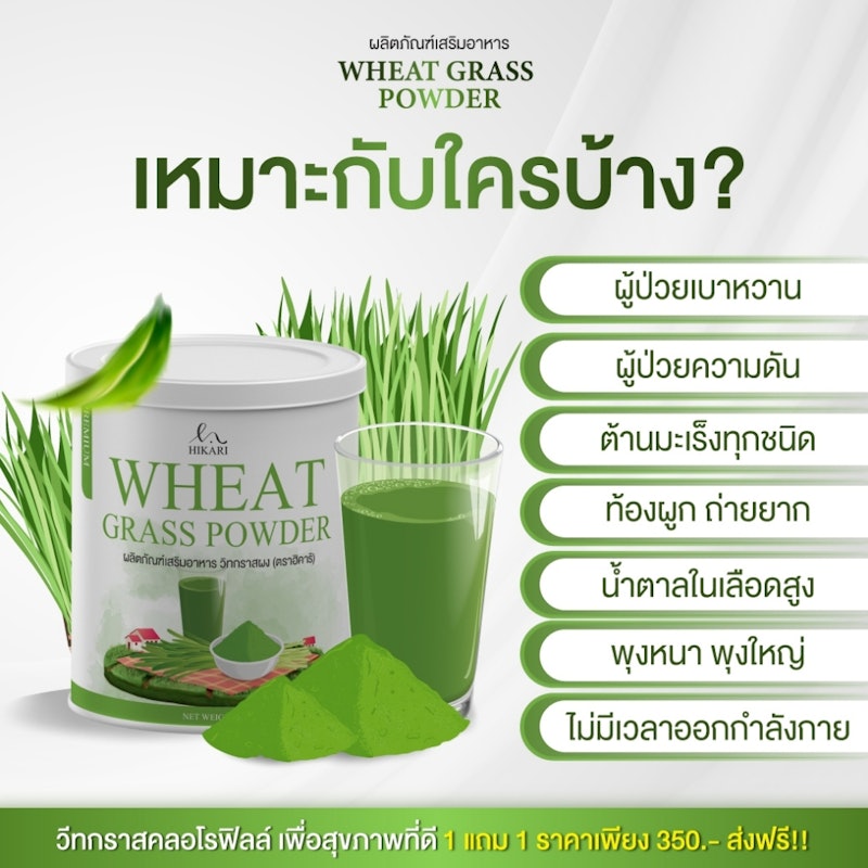 ผงต้นอ่อนข้าวสาลี Wheat grass Powder 3