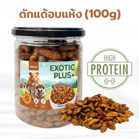 แมลงอบแห้ง 3