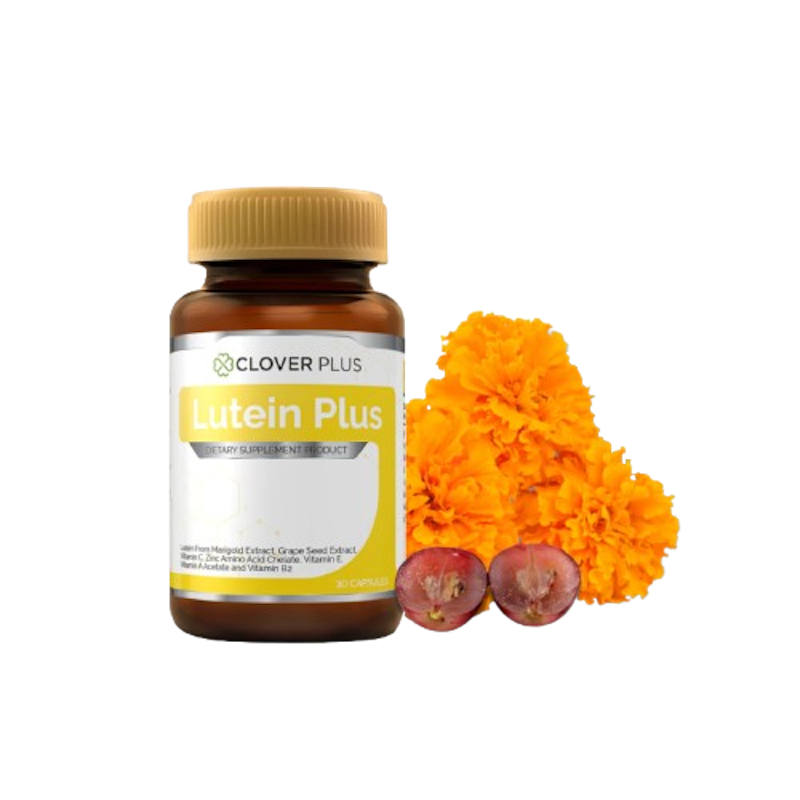 LUTEIN Plus ลูทีนจากดอกดาวเรือง 1
