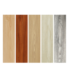 Leowood Splash