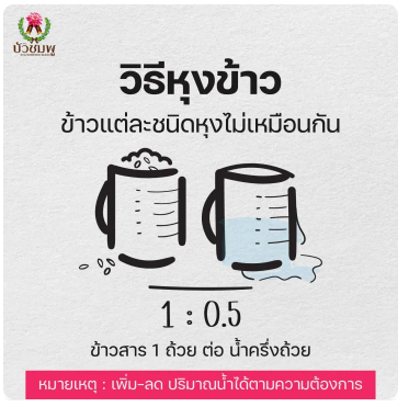 ข้าวเหนียวเขี้ยวงู 3