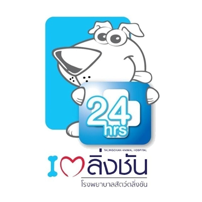 ตรวจสุขภาพสุนัข โรงพยาบาลสัตว์ตลิ่งชัน 1