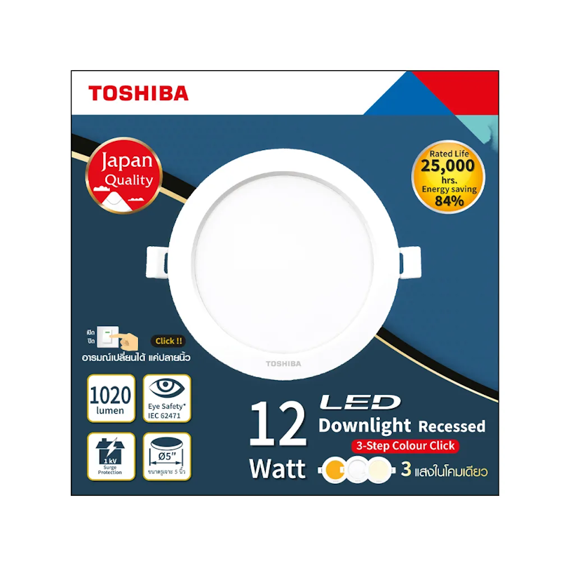 LED Downlight 2