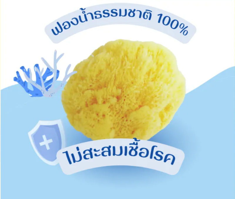 ฟองน้ำธรรมชาติ Fine Silk 3
