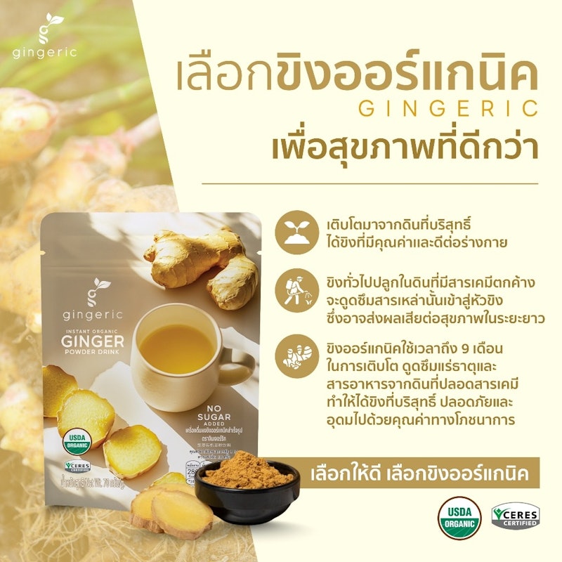 ผงขิงสกัดออร์แกนิค 100% 3