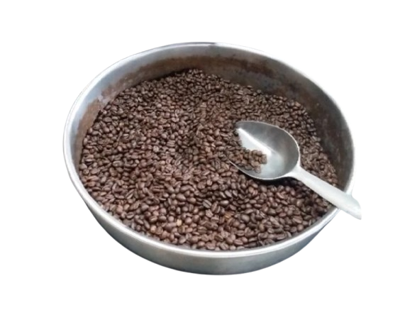 Robusta 100% 3