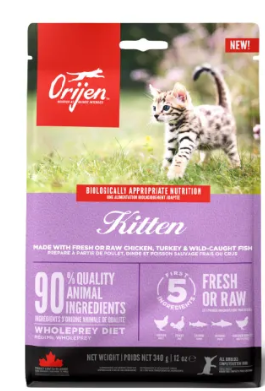 Kitten 1
