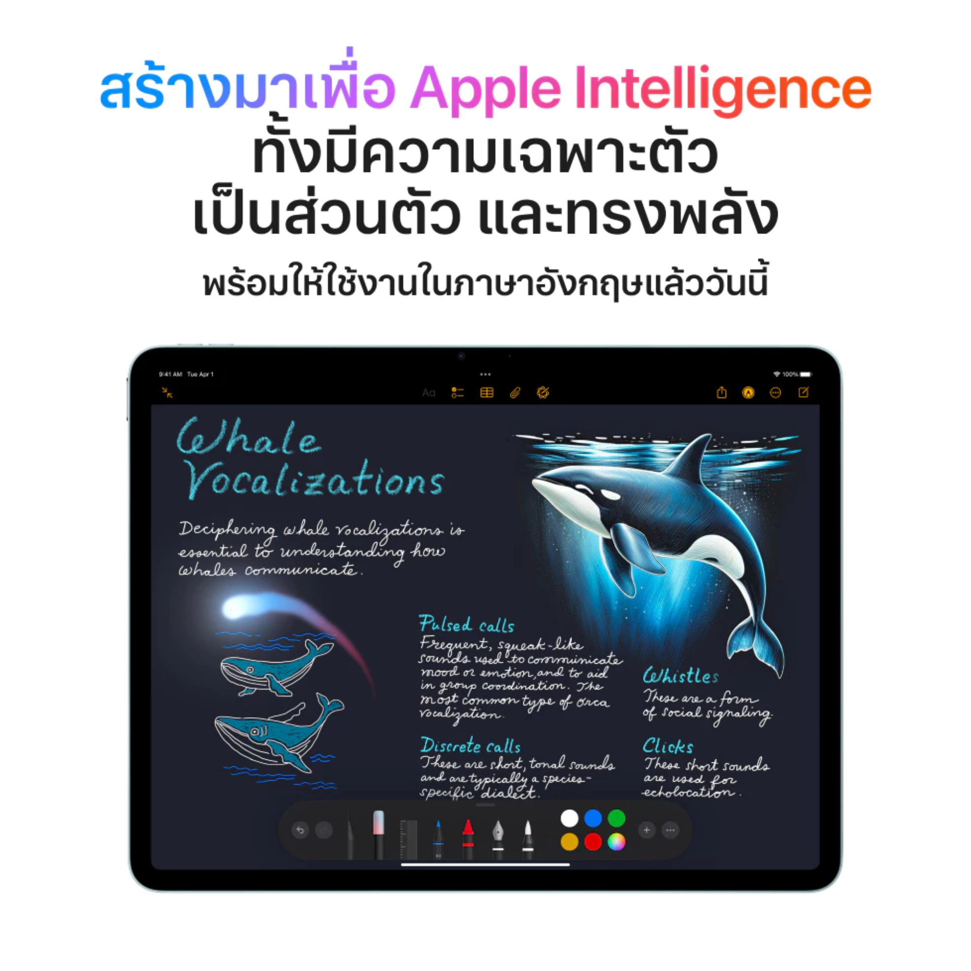iPad Air รุ่น 13 นิ้ว Wi-Fi (ชิป M3) 3