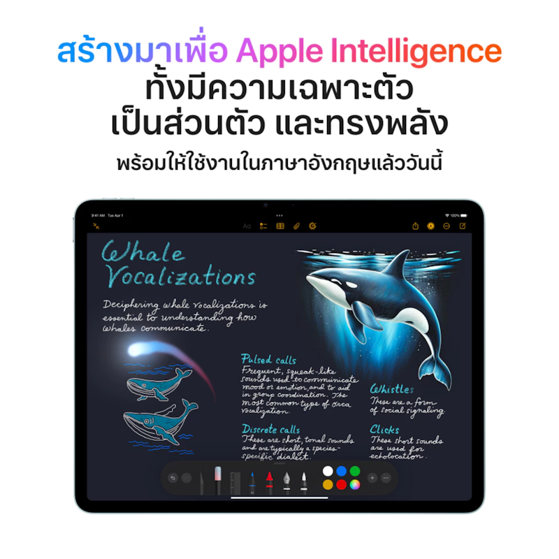 iPad Air รุ่น 13 นิ้ว Wi-Fi (ชิป M3) 3