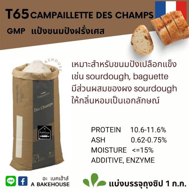 T65 Campaillette Des Champs 2