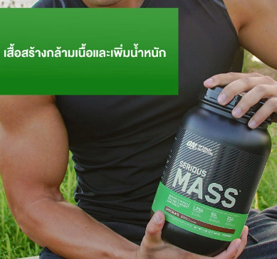 เวย์โปรตีน Nutrition Serious Mass Protein Weight Gainer 3
