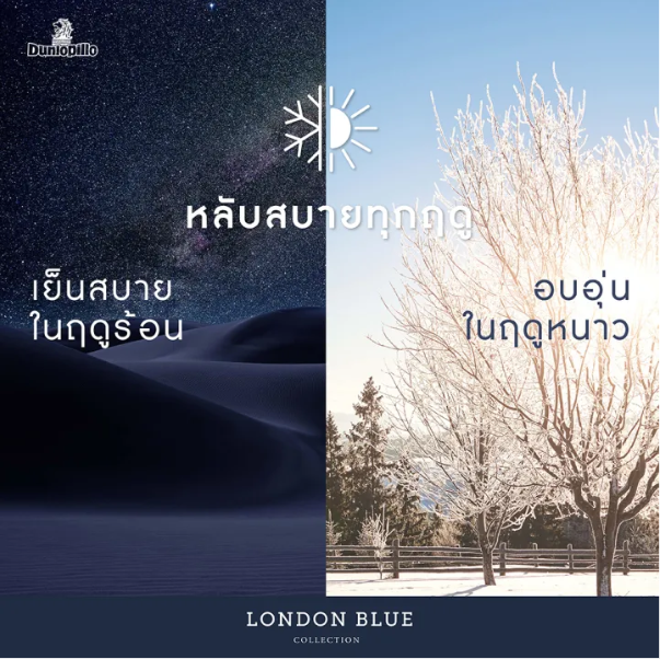 ชุดผ้าปู รุ่น London Blue 2